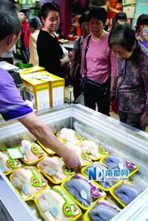 廣州66個檔口開售冰鮮雞，市民反應各異 有人觀望，有人直呼“太貴了！”
