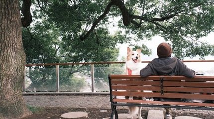 汪汪GO·漫步錢湖 | 尋陶公街市，覽山色湖光